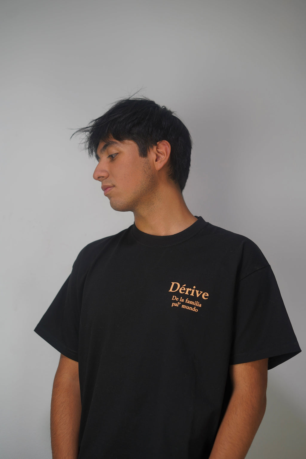 Strive for the future shirt